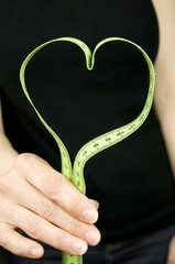 healthy heart dieting