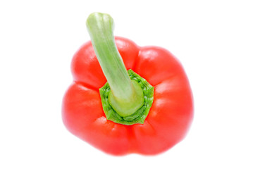 sweet bell pepper isolated on white background