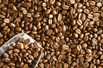 Spilled coffee beans with scoop