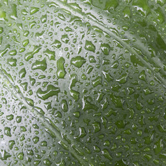 Drops on leaf