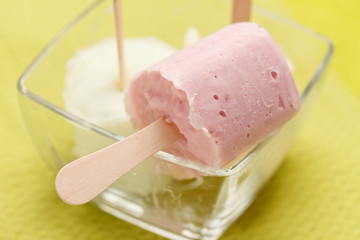 fruit ice cream