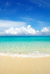 beach and tropical sea
