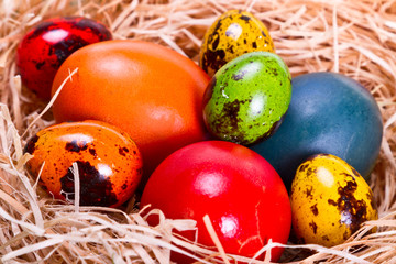 Colorful easter eggs in the nest