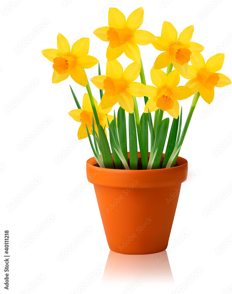 Poster spring flower background with ripped paper vector