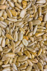 pattern of peeled sunflower seeds