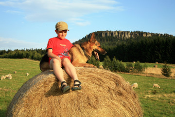 Teenage boy with dog on the meadow by sunset during holidays