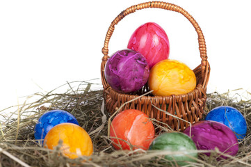 Easter eggs on a grass