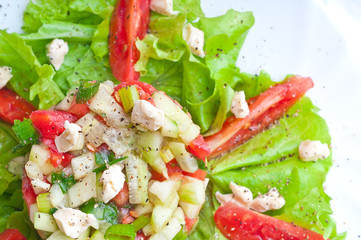 Fresh vegetable salad