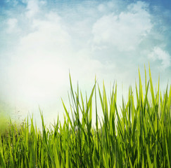 Vintage textured nature background with grass
