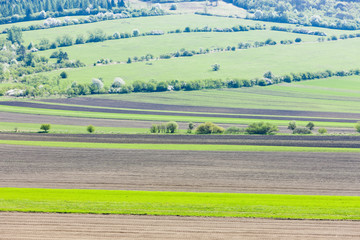 Fototapeta premium landscape near Kuzelov, Czech Republic