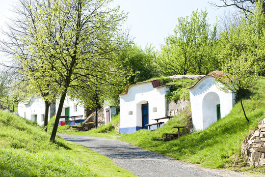 wine cellars, Petrov - Plze, Czech Republic