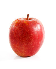 One red apple with water drops