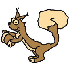 squirrel
