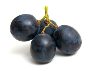 blue grapes