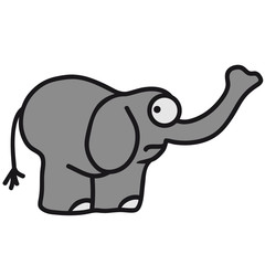 elephant