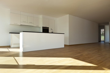beautiful new  apartment, interior, kitchen.