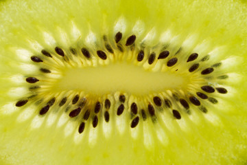 Macro of fresh kiwi fruit