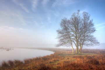 Obraz na płótnie Canvas Sunrise over a misty lake