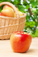 Ripe juicy apples on the table in the garden