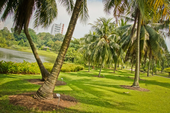 Botanical Garden - Singapore