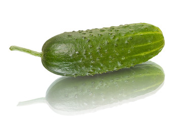 Cucumber with reflection