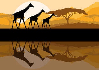 Fototapeta na wymiar Silhouettes rodziny Giraffe w Afryce