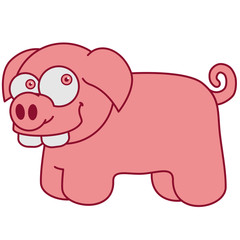 pig
