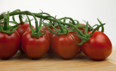 Tomatenstrauch mit Holzbrett I