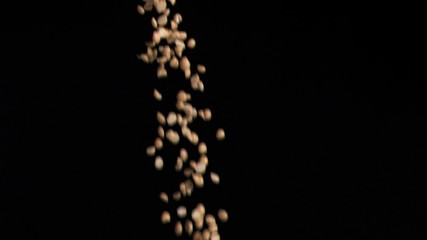 A lot of peanuts in super slow motion falling - Powered by Adobe