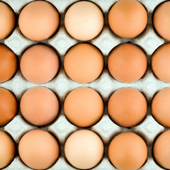 Chicken egg background