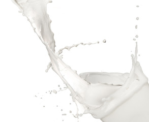 Pouring milk into glass, isolated on white background