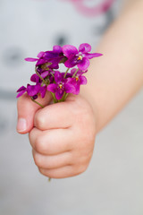 bouquet de violettes
