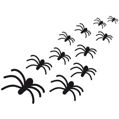 Fototapeta na wymiar spiders
