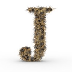 Texteffekt Haare Leopard J