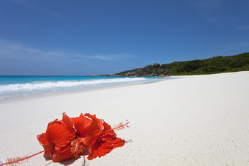 Grand Anse - La Digue - Seychelles © tagstiles.com