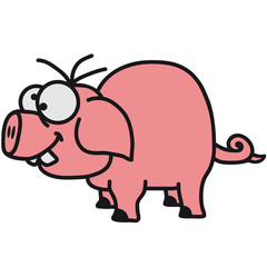 pig