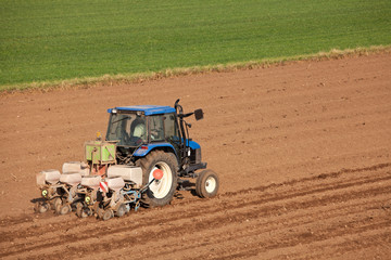 Obraz premium Semina