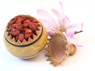 Baies séchées de goji (Lycium barbarum ou Lycium chinens)