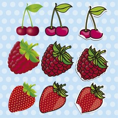 berries set