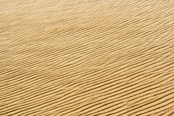 Fototapeta premium Sand Background Texture Pattern