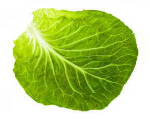 Close up leaf fresh cabbage  isolated on white background