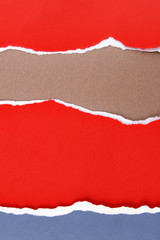 Ripped paper
