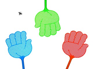 Fly Swat