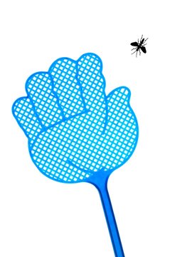 Fly Swat