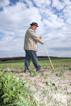 Farmer working in the fields
