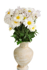 beautiful bouquet of daisies in vase isolated on white