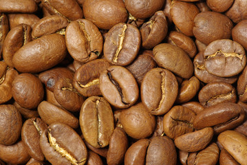 coffee grains