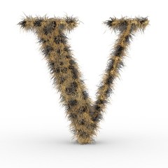 Texteffekt Haare Leopard V