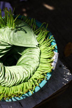 Betel leaves for chewing arranged in the market in India