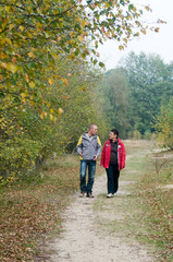 Walk in the forest
